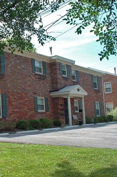 Default Image Alt Text